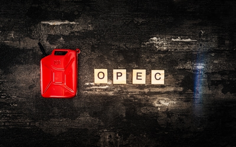 OPEC Cuts Global Oil Demand in 2020 as Pandemic Recovery Looks Bleak