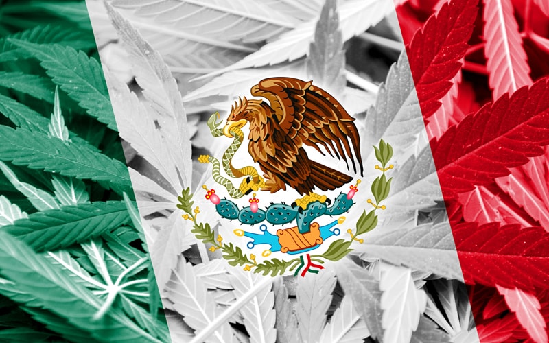 Mexico Set to be World’s Largest Legal Cannabis Market