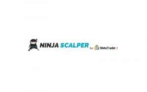 Ninja Scalper Review