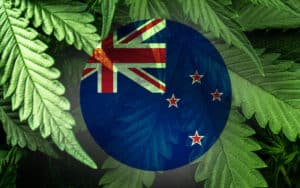 Tilray Commercialize Cannabis Products in New Zealand