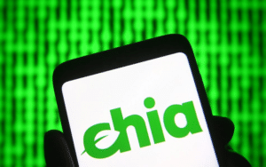 Digital Currency Platform Chia Plans for IPO this Year after Raising $61 Million