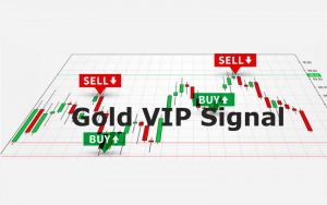 Gold VIP Signal Review