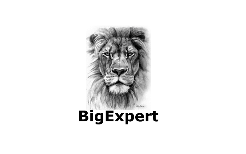 BigExpert Review