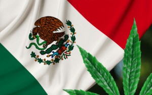 Big Win for Recreational Cannabis in Mexico as Top Court Removes Prohibition