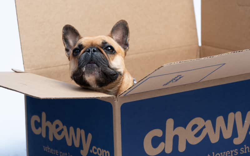 Chewy Swings into First Half Year Profit after Posting a 27% Increase in Q2 Net Sales