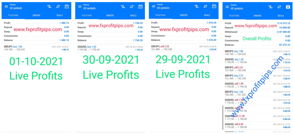 FX Profit Pips’ live trading results.