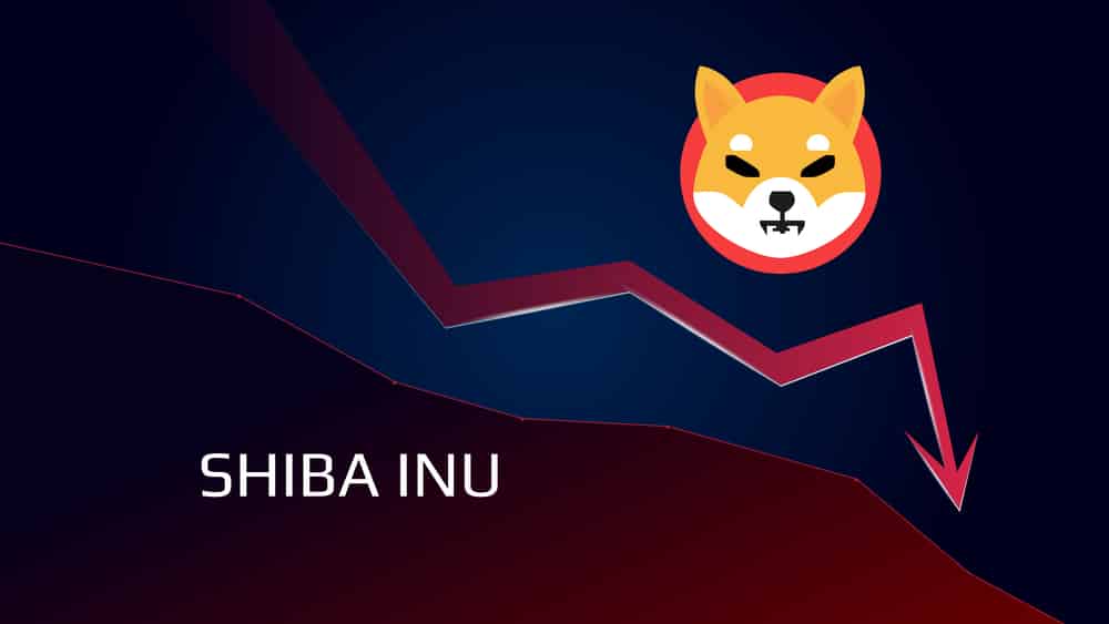 Shiba Inu Loses Steam After Musk Says He Only Owns BTC, ETH, and Dogecoin