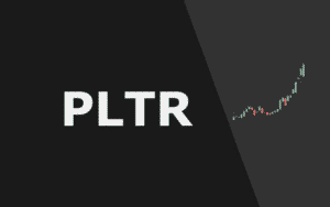 PLTR Q3 Earnings Preview: What Is the Growth Potential After Earning Decline?