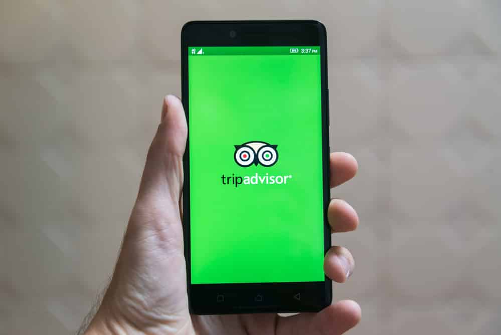 Tripadvisor Plunges on Missed Earnings Expectation and CEO Exit