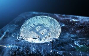 Crypto Winter – Unraveling the Possibilities and Preparations