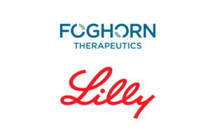 Foghorn Jumps on the News of Partnership With Lilly for Novel Oncology Medicines
