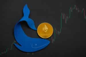 Top Ethereum Whale Spends $128M on Several Altcoins, Including Metaverse Tokens
