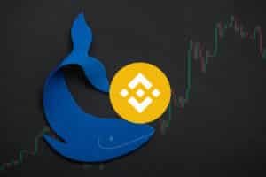 Leading BNB Whale Scoops $5.1 Million Worth of ADA