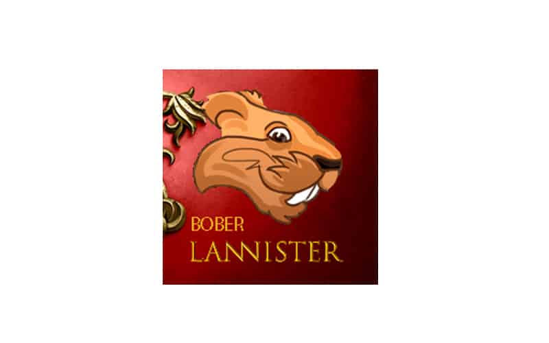 Bober Lannister – Unveiling its Trading Mechanisms