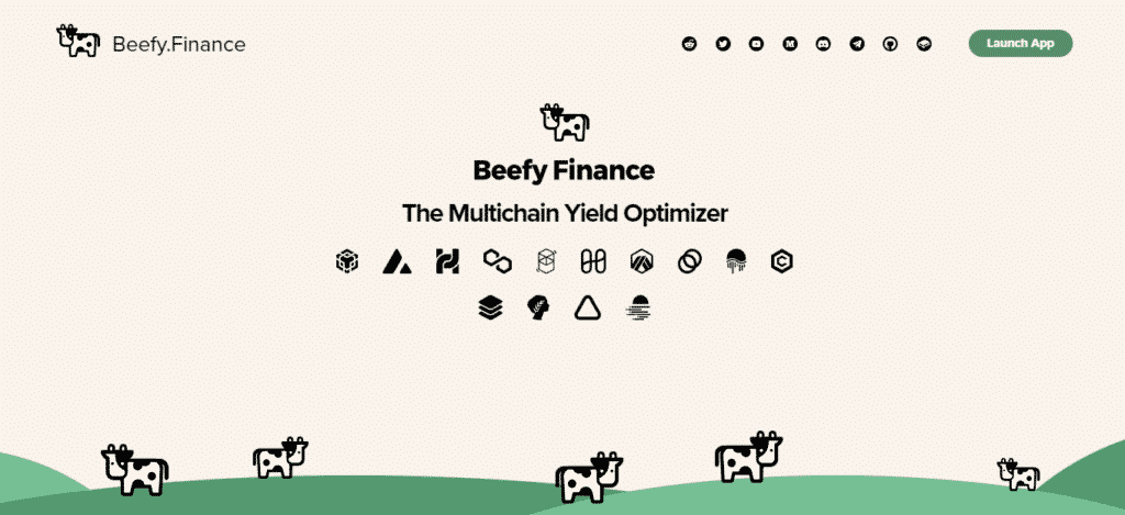 The Beefy finance landing page.