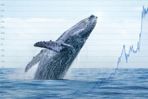 How Whales Influence the Crypto Markets