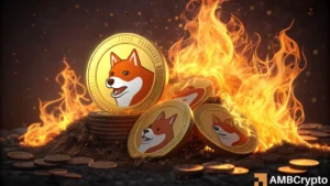 Shiba Inu burn rate plummets 90% – How this will impact SHIB prices in 2025