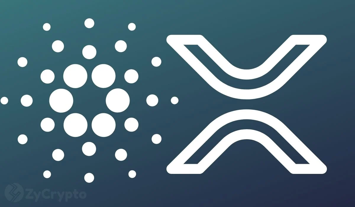 Cardano’s Hoskinson Eyes Groundbreaking Integration with Ripple’s XRP · Cardano Feed