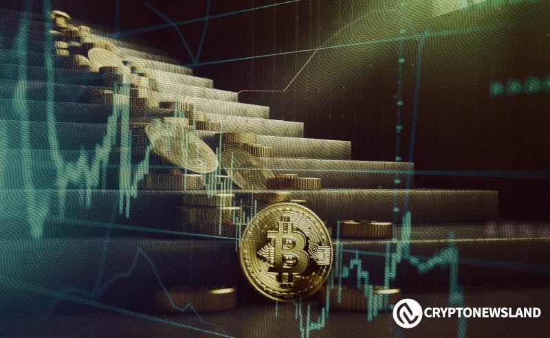 The Most Important Cryptos to Watch in the Current Market Cycle