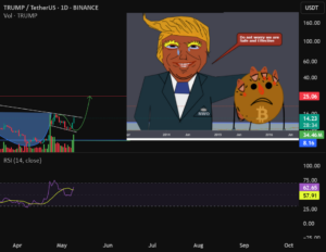 Trump USdt for BINANCE:TRUMPUSDT by Rekt4Sure