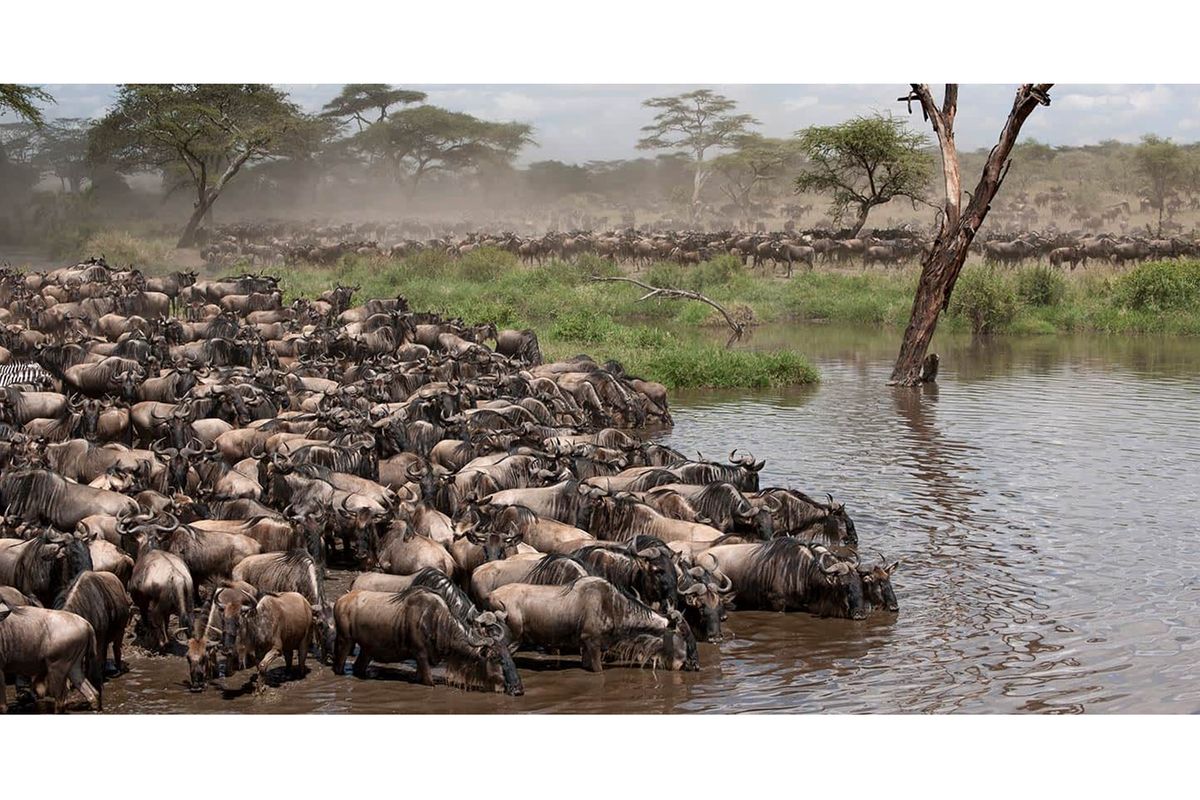 Tourism overtakes gold as Tanzania’s top foreign exchange earner
