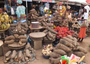 NIGERIA’S SPIRALLING FOOD CRISIS – THISDAYLIVE