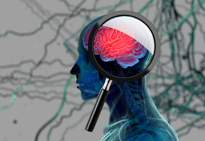 19 innovative projects receive Endeavour funding – Inside Government NZ